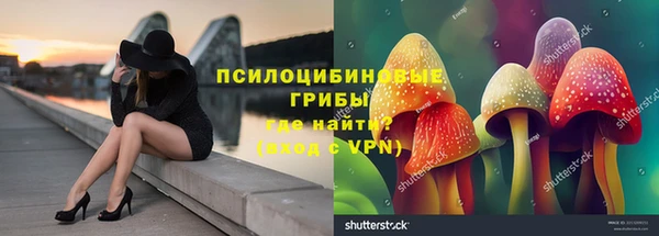 а пвп мука Каменка