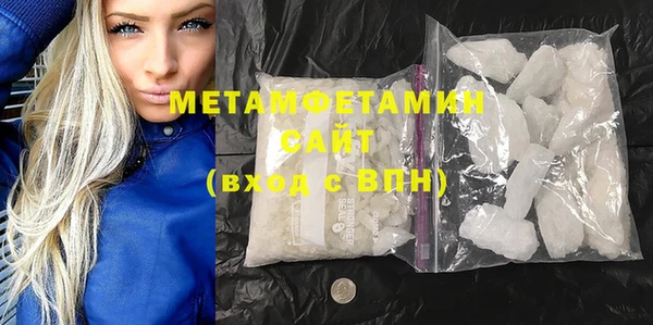 ГАЛЛЮЦИНОГЕННЫЕ ГРИБЫ Инта