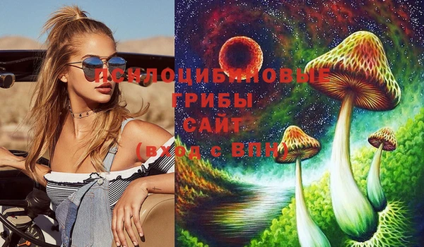 а пвп мука Каменка