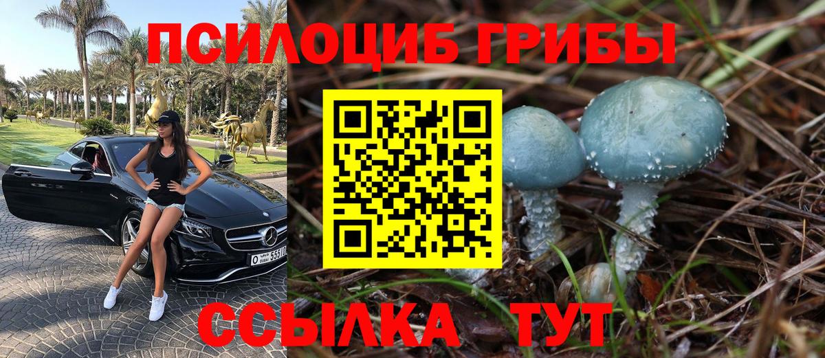 Псилоцибиновые грибы MAGIC MUSHROOMS  Вход с VPN  Ливны 
