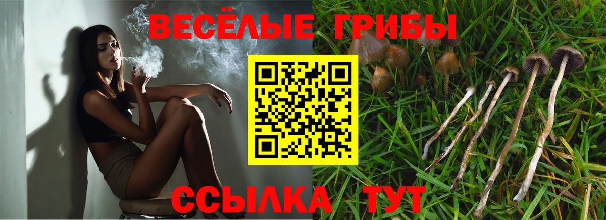 Псилоцибиновые грибы мицелий Ливны